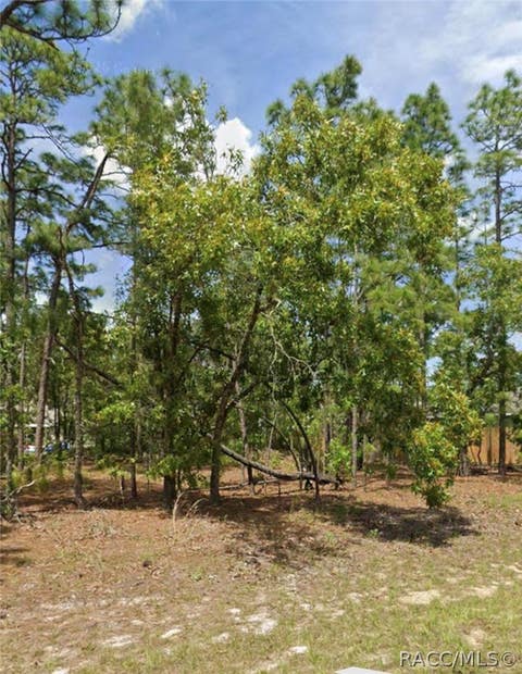 Vacant Land For Sale - 599 W Fortune Lane<br/> Citrus County, Citrus Springs, FL 34434