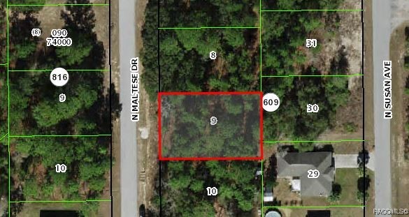 7729 N Maltese Drive, Citrus Springs, Florida image 5