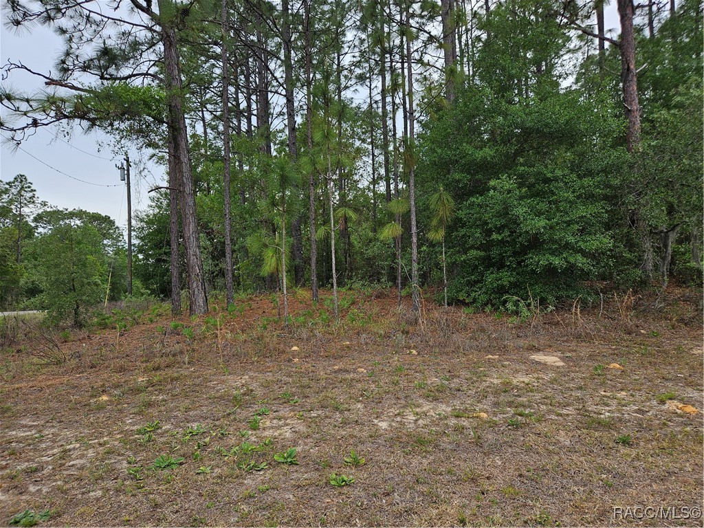 9232 N Bertin Drive, Citrus Springs, New York image 15