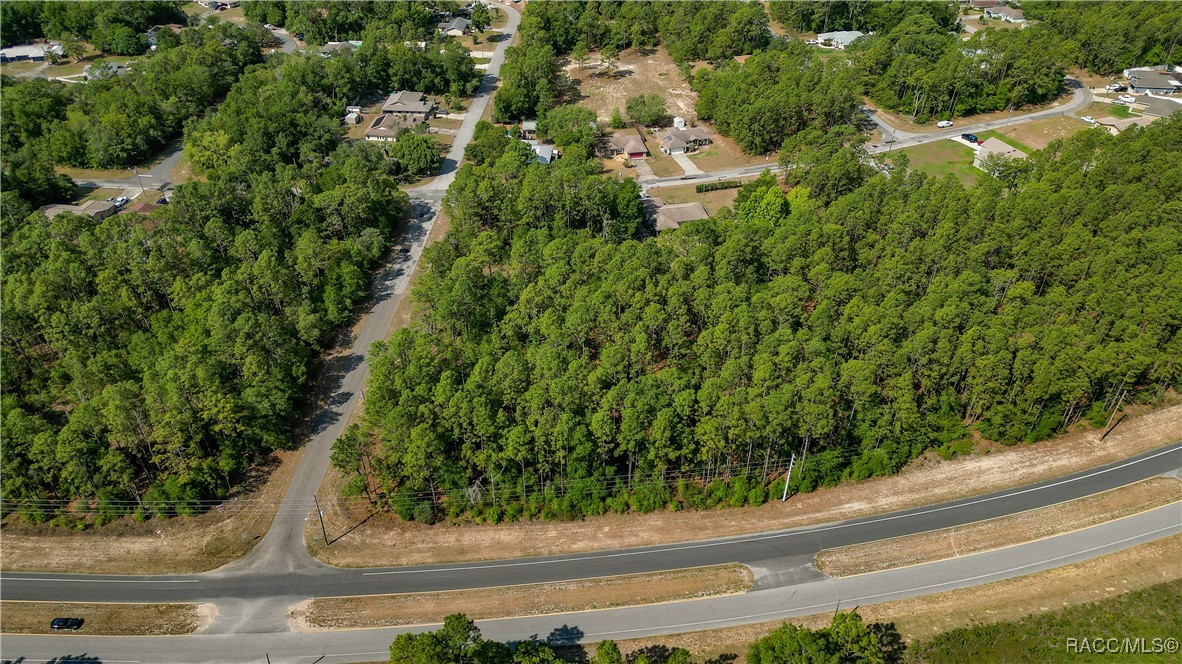 9232 N Bertin Drive, Citrus Springs, New York image 3