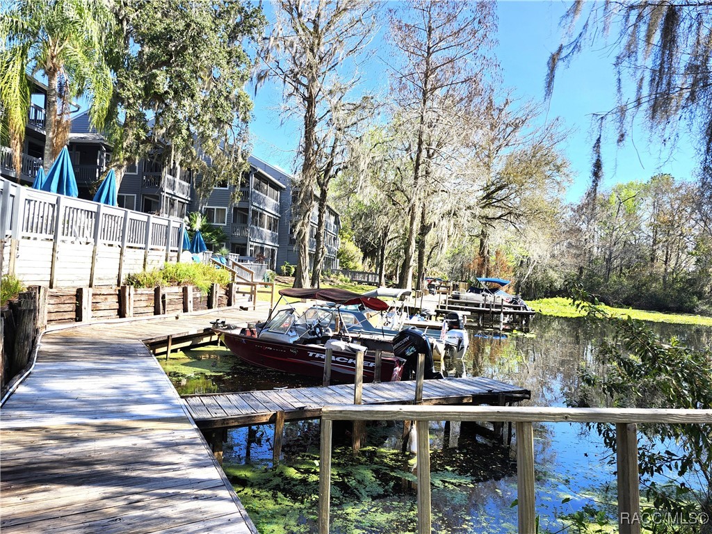 20800 River Drive #A17, Dunnellon, Florida image 19