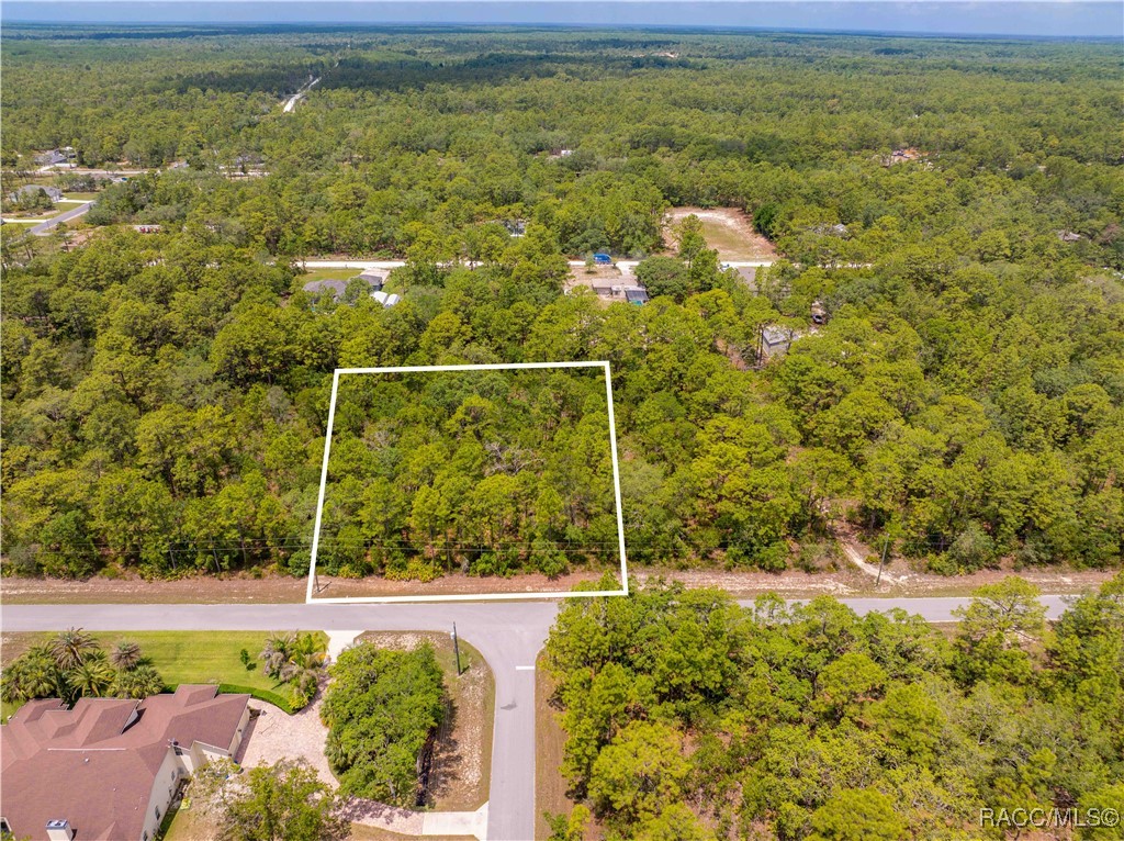 16295 Mount Sparrow Road #38, Brooksville, New York image 12
