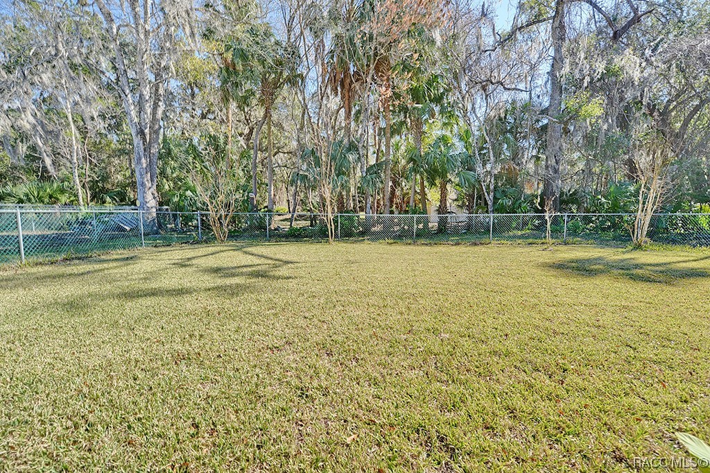 3749 N Hiawatha Terrace, Crystal River, Florida image 33