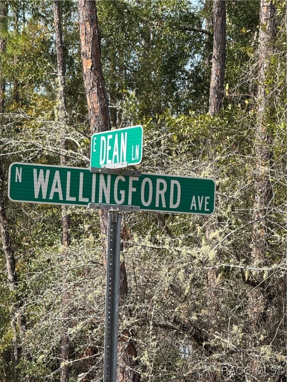 8590 N Wallingford Avenue, Dunnellon, Florida image 8