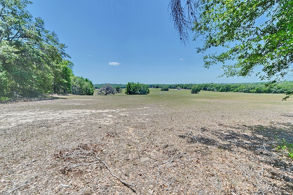 12474 S Elm Point #4H, Floral City, New York image 49