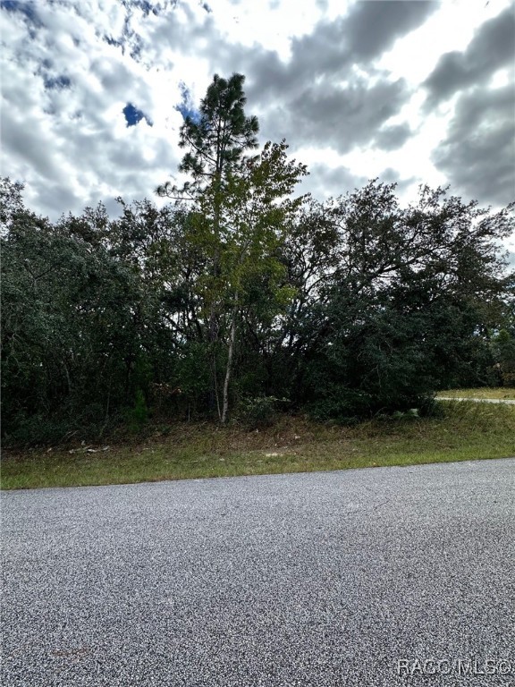 7199 N Regent Terrace, Citrus Springs, Florida image 8