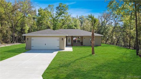 8639 N collarette Way Citrus Springs FL 34434