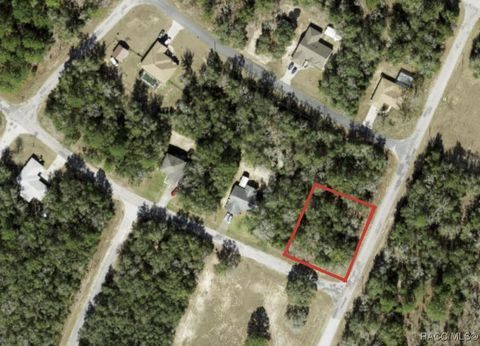 2489 W Castle Road Citrus Springs FL 34434