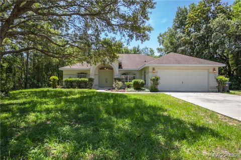 4581 N Rushmore Loop Beverly Hills FL 34465