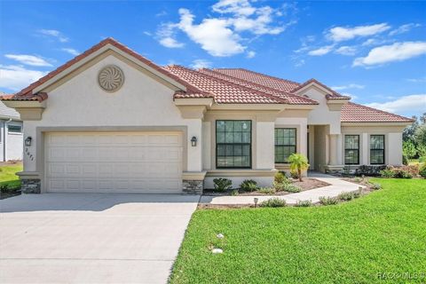 A home in Hernando