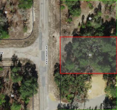Vacant Land For Sale - 6491 N Killinger & 8746 N Spikes Way Terrace<br/> Citrus Springs, FL 34433