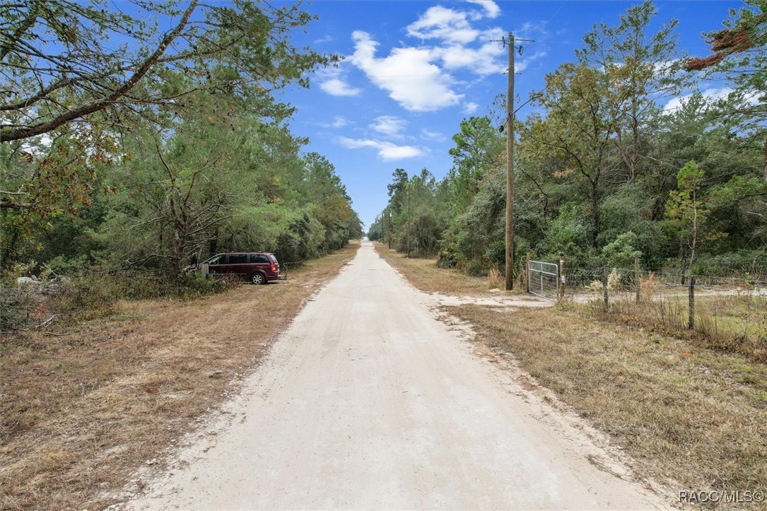 7597 N Brutus Avenue, Dunnellon, Florida image 7