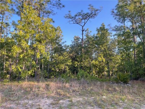 4555 W Mustang Boulevard Beverly Hills FL 34465