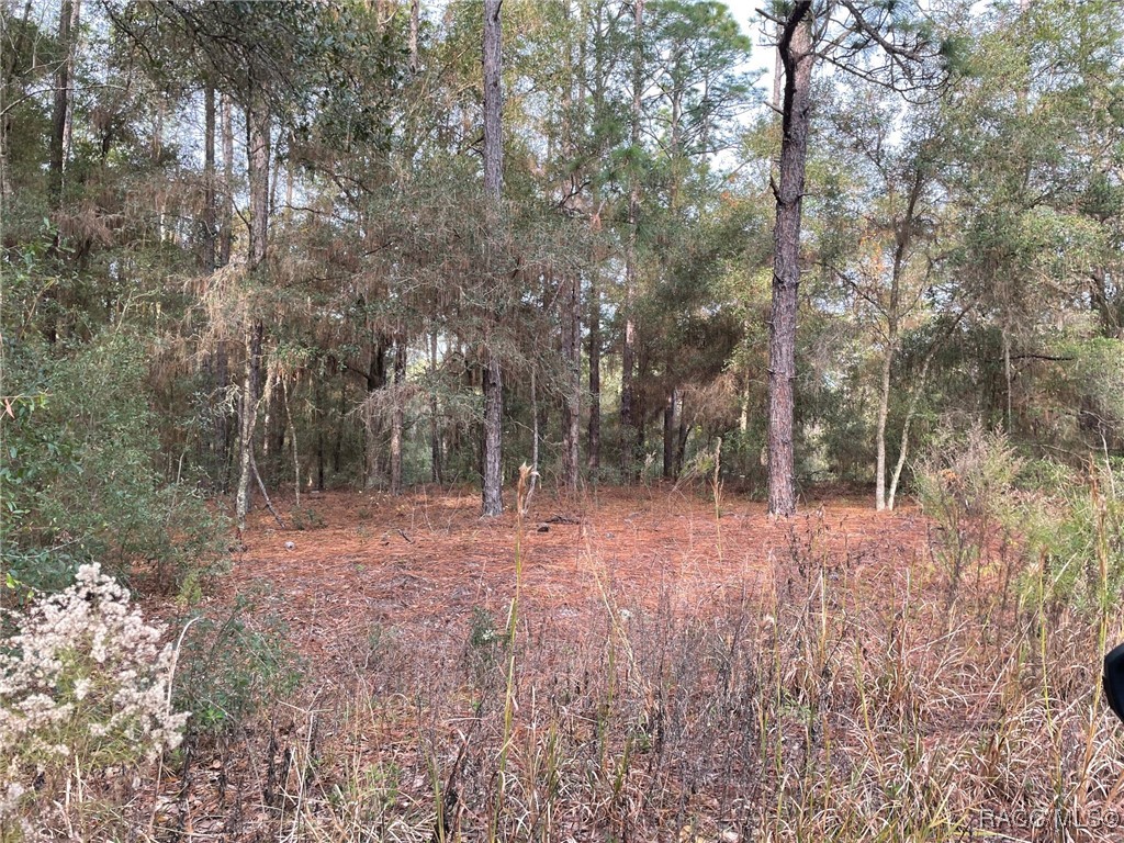 Photo 1 of 5 — LOT 9 SW 152nd Avenue, Ocala, FL 34481