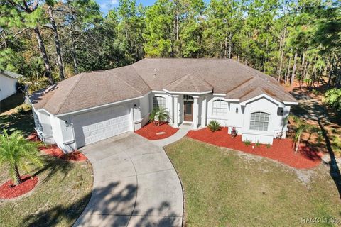 A home in Homosassa