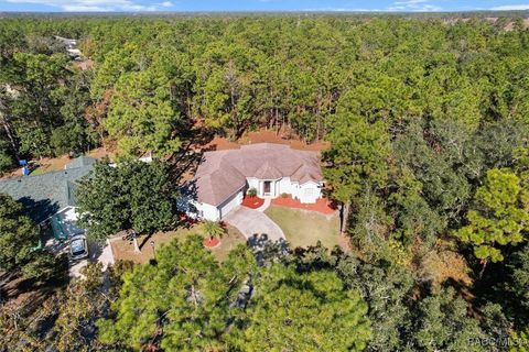 A home in Homosassa