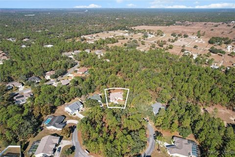 A home in Homosassa