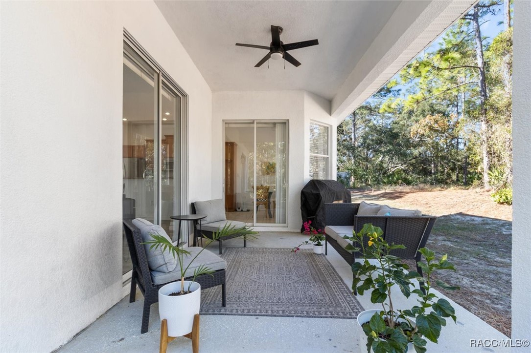 12 Colubrina Court, Homosassa, Florida image 34
