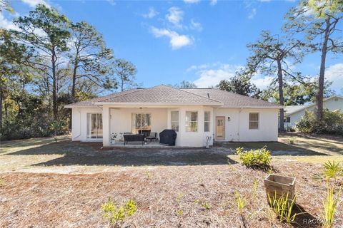 A home in Homosassa