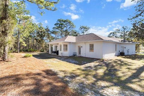 A home in Homosassa