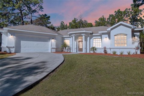 A home in Homosassa