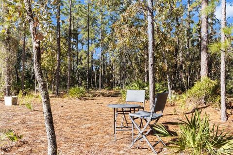 A home in Homosassa