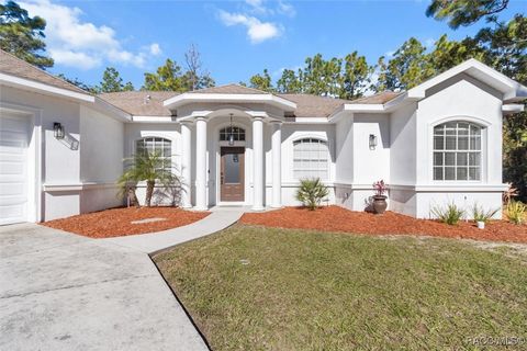 A home in Homosassa