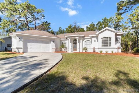 A home in Homosassa