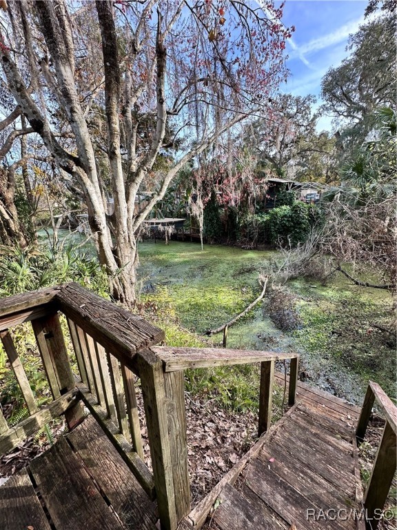 1611 Cr 434, Lake Panasoffkee, Florida image 31