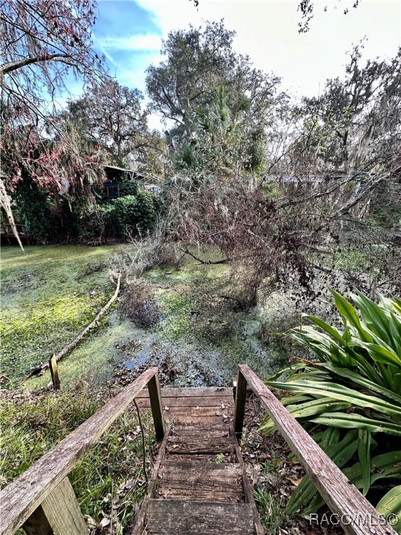 1611 Cr 434, Lake Panasoffkee, Florida image 35