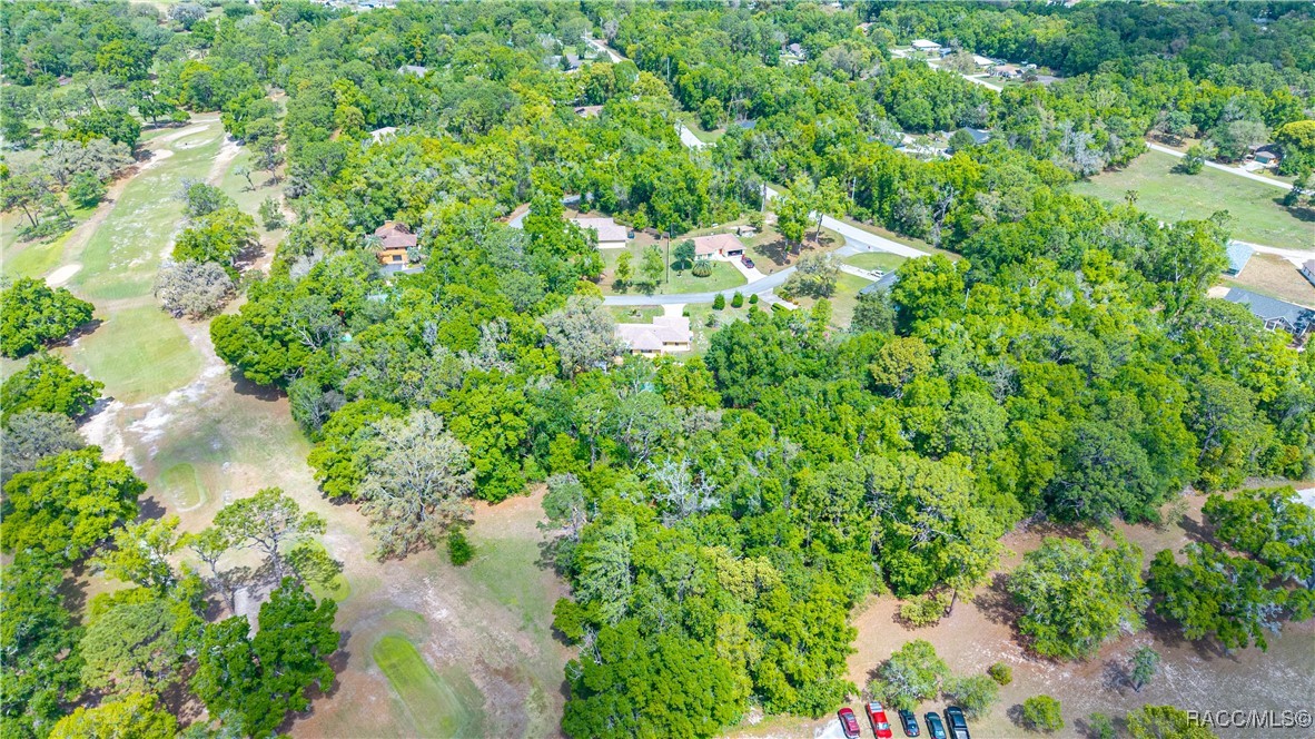 2280 W Tee Circle, Citrus Springs, Florida image 46