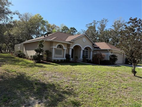 2 Woodlee Court S Homosassa FL 34446