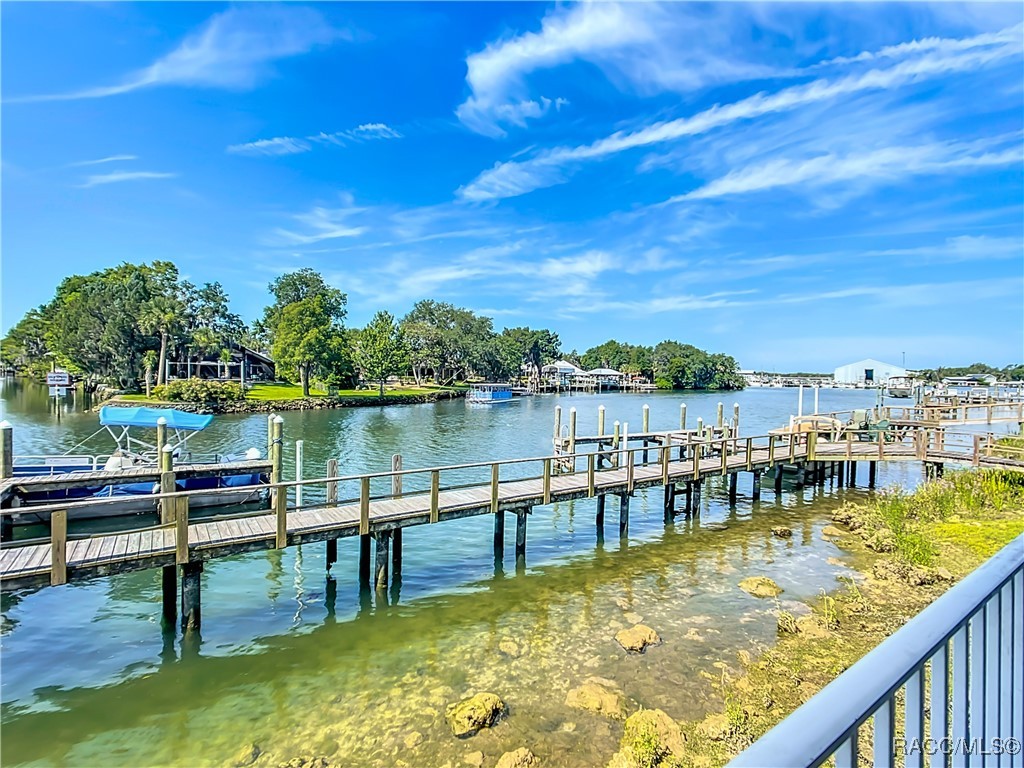 253 NW Bay Path Drive, Crystal River, Florida image 21