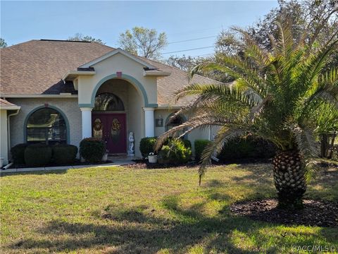 5 Peachwood Point W Homosassa FL 34446