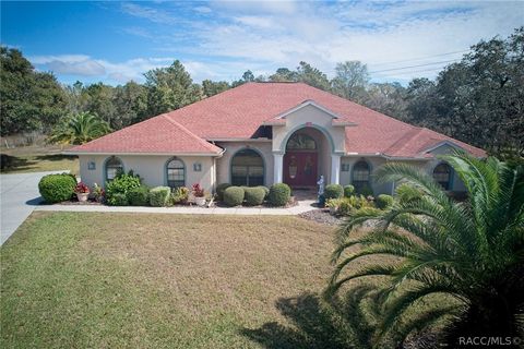 5 Peachwood Point W Homosassa FL 34446