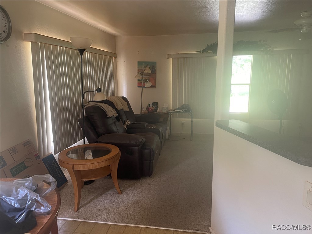 217 Sapp Street, Inglis, New York image 15