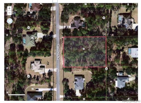 Vacant Land For Sale - 2181 W Talk Oaks Drive<br/> Beverly Hills, FL 34465