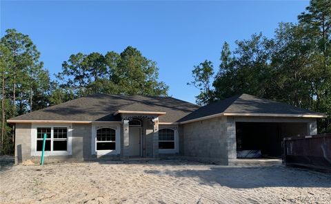 3332 W Viking Lane Citrus Springs FL 34433