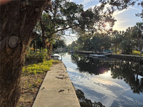 A home in Crystal River