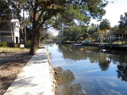 A home in Crystal River