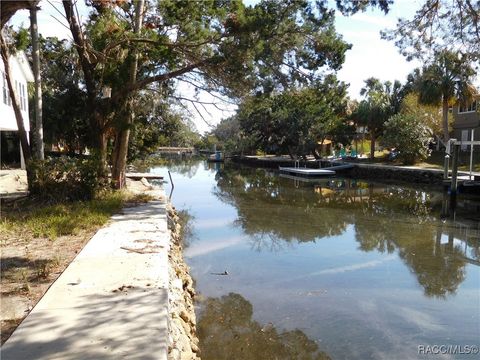 A home in Crystal River