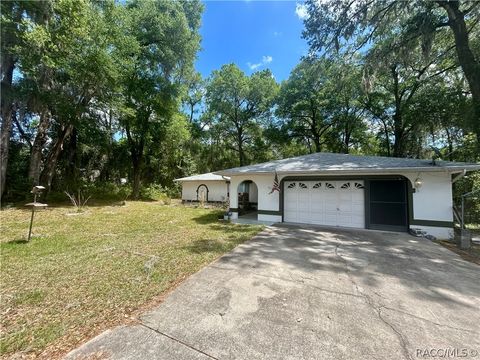 Homes For Sale - 5131 S Hummingbird Avenue<br/> Inverness, FL 34452