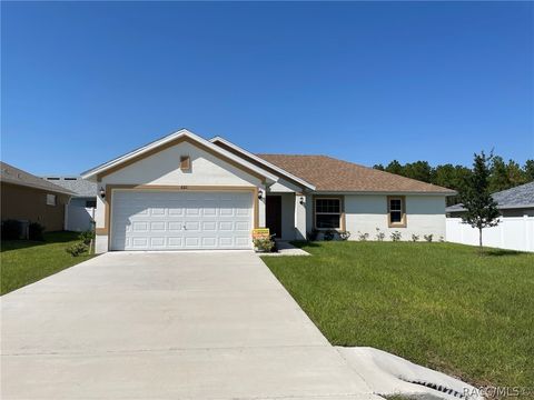 Homes For Sale - 621 W Walkertown Drive<br/> Citrus County, Citrus Springs, FL 34434