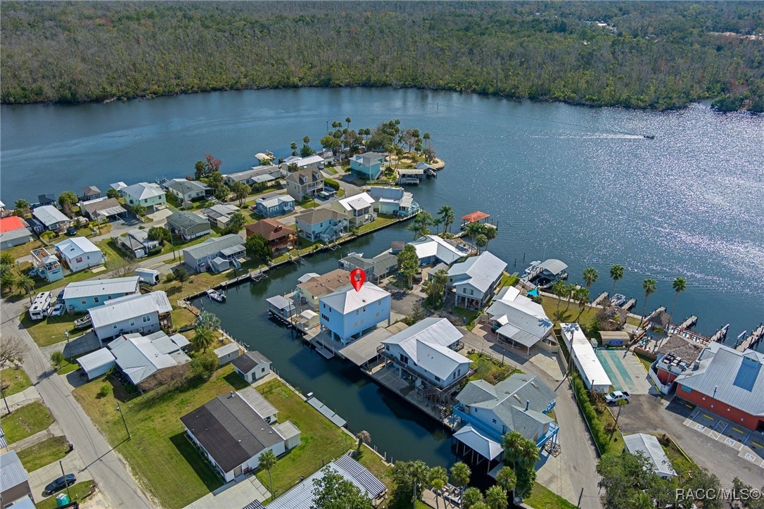 10305 W Port Court, Homosassa, Florida image 3