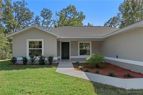 A home in Citrus Springs