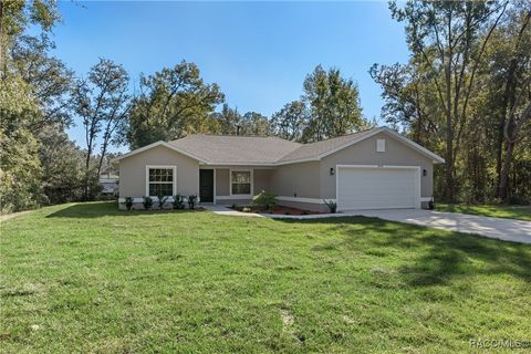 A home in Citrus Springs