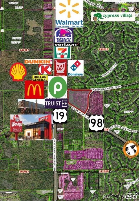 Vacant Land For Sale - 6945 W Ponce De Leon Boulevard<br/> Homosassa, FL 34446