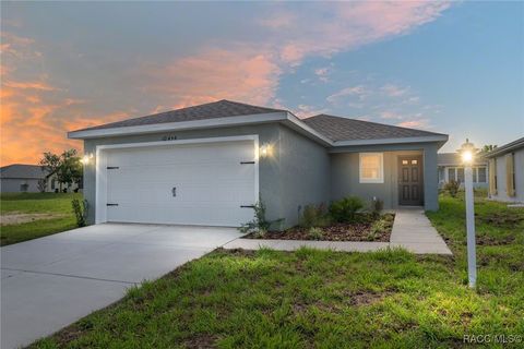 10494 S Drew Bryant Circle Floral City FL 34436