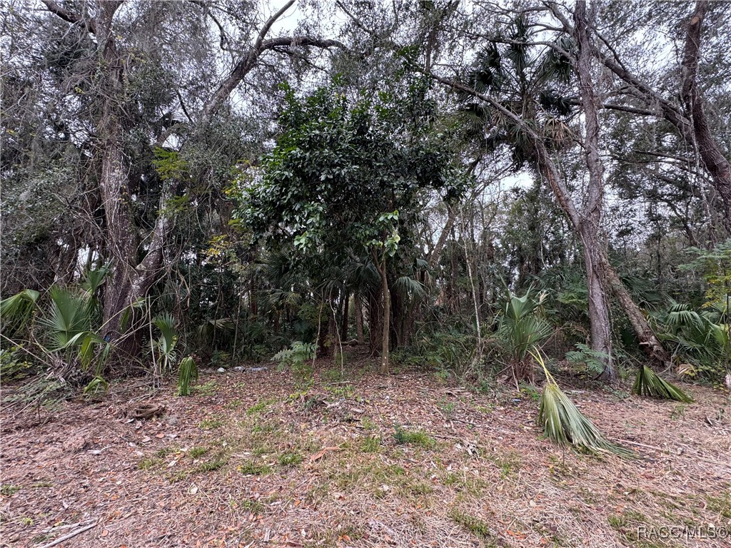 378 N Robin Hood Road, Inverness, Florida image 1