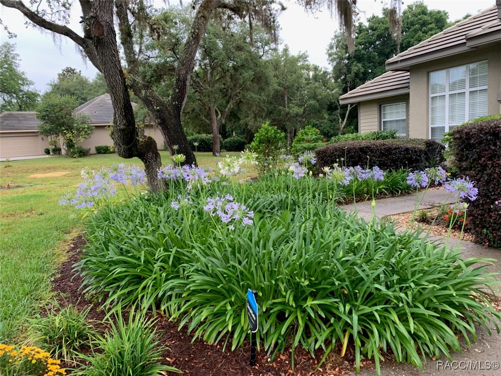 3153 N Barton Creek Circle, Lecanto, Florida image 37